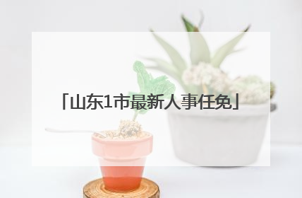 山东1市最新人事任免