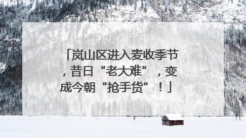 岚山区进入麦收季节，昔日“老大难”，变成今朝“抢手货”！