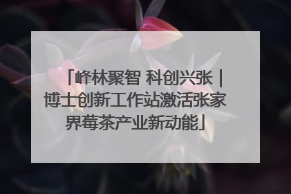 峰林聚智 科创兴张｜博士创新工作站激活张家界莓茶产业新动能