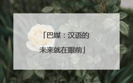 巴媒：汉语的未来就在眼前
