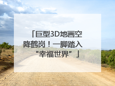 巨型3D地画空降鹤岗！一脚踏入“幸福世界”