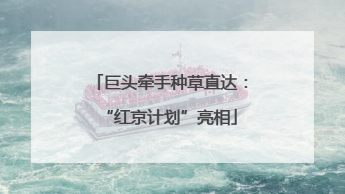 巨头牵手种草直达：“红京计划”亮相