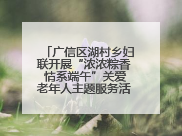 广信区湖村乡妇联开展“浓浓粽香 情系端午”关爱老年人主题服务活动（图）