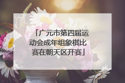 广元市第四届运动会成年组象棋比赛在朝天区开赛