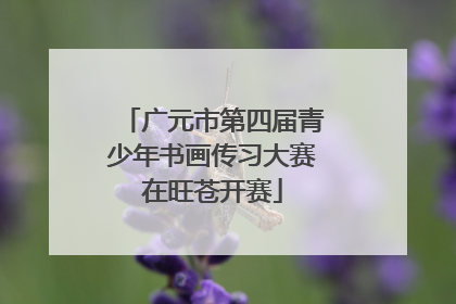 广元市第四届青少年书画传习大赛在旺苍开赛