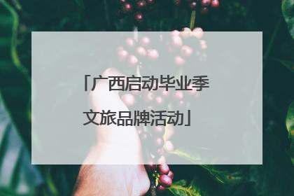 广西启动毕业季文旅品牌活动