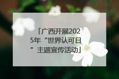 广西开展2025年“世界认可日”主题宣传活动