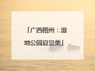 广西梧州：湿地公园夏景美