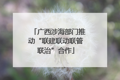 广西涉海部门推动“联建联动联管联治”合作