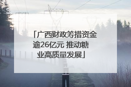 广西财政筹措资金逾26亿元 推动糖业高质量发展