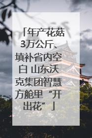 年产花菇3万公斤、填补省内空白 山东沃克集团智慧方舱里“开出花”