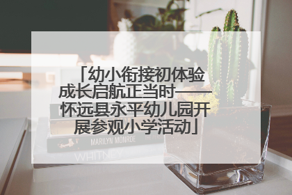 幼小衔接初体验 成长启航正当时——怀远县永平幼儿园开展参观小学活动