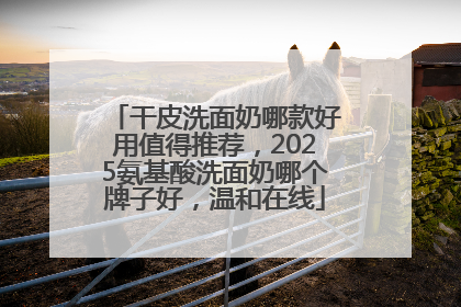 干皮洗面奶哪款好用值得推荐，2025氨基酸洗面奶哪个牌子好，温和在线