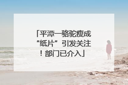 平潭一骆驼瘦成“纸片”引发关注！部门已介入