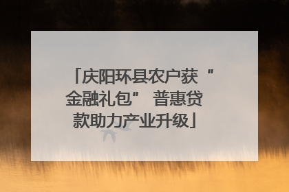 庆阳环县农户获“金融礼包” 普惠贷款助力产业升级