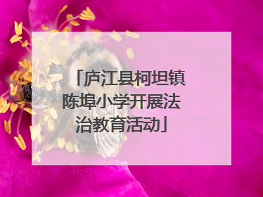 庐江县柯坦镇陈埠小学开展法治教育活动