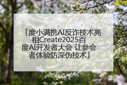 度小满携AI反诈技术亮相Create2025百度AI开发者大会 让参会者体验防深伪技术