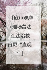 庭审观摩+现场普法 让法治教育更“直观”