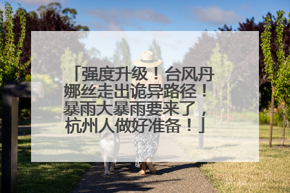 强度升级！台风丹娜丝走出诡异路径！暴雨大暴雨要来了，杭州人做好准备！