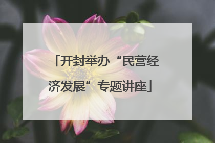 开封举办“民营经济发展”专题讲座