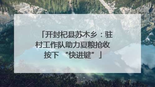 开封杞县苏木乡：驻村工作队助力夏粮抢收按下 “快进键”