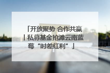 开放聚势 合作共赢丨私募基金抢滩云南蓝莓“时差红利”