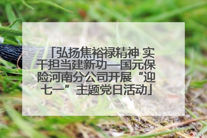 弘扬焦裕禄精神 实干担当建新功—国元保险河南分公司开展“迎七一”主题党日活动