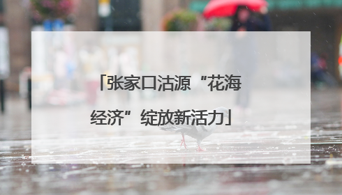 张家口沽源“花海经济”绽放新活力