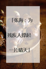 张海：为残疾人撑起一片晴天