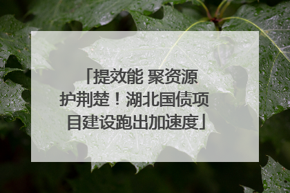 提效能 聚资源 护荆楚！湖北国债项目建设跑出加速度