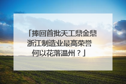 捧回首批天工鼎金鼎 浙江制造业最高荣誉何以花落温州？