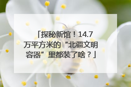 探秘新馆！14.7万平方米的“北疆文明容器”里都装了啥？
