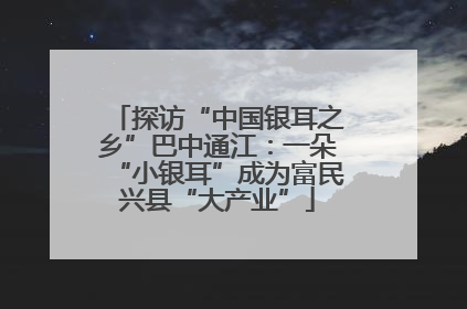 探访“中国银耳之乡”巴中通江：一朵“小银耳”成为富民兴县“大产业”