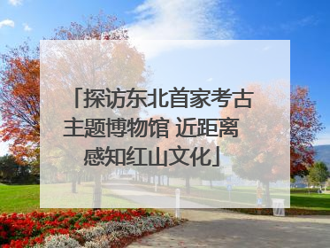探访东北首家考古主题博物馆 近距离感知红山文化