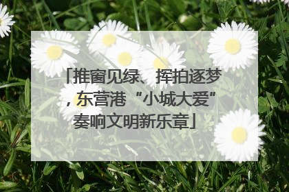 推窗见绿、挥拍逐梦，东营港“小城大爱”奏响文明新乐章