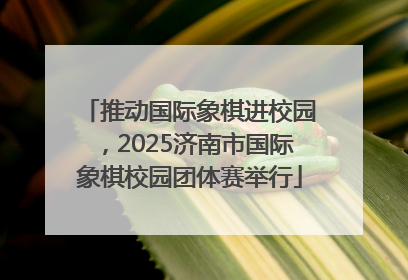 推动国际象棋进校园，2025济南市国际象棋校园团体赛举行