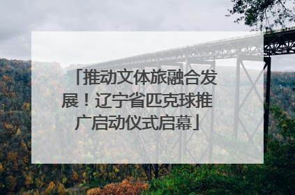 推动文体旅融合发展！辽宁省匹克球推广启动仪式启幕