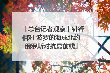 总台记者观察丨针锋相对 波罗的海成北约俄罗斯对抗最前线