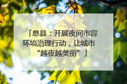 息县：开展夜间市容环境治理行动，让城市 “越夜越美丽”