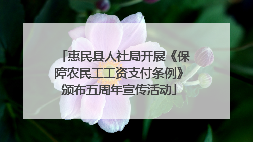 惠民县人社局开展《保障农民工工资支付条例》颁布五周年宣传活动