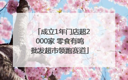 成立1年门店超2000家 零食有鸣批发超市领跑赛道