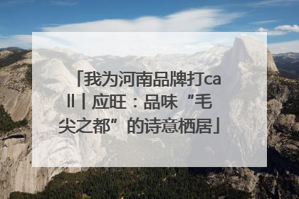 我为河南品牌打call丨应旺：品味“毛尖之都”的诗意栖居
