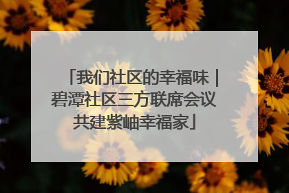 我们社区的幸福味｜碧潭社区三方联席会议共建紫岫幸福家