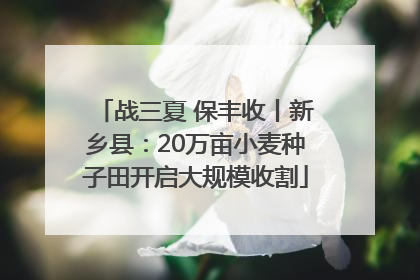 战三夏 保丰收丨新乡县：20万亩小麦种子田开启大规模收割