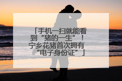 手机一扫就能看到“猪的一生”！宁乡花猪首次拥有“电子身份证”