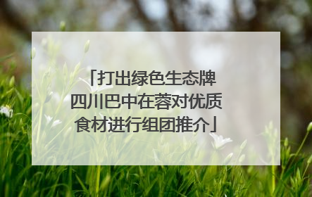 打出绿色生态牌 四川巴中在蓉对优质食材进行组团推介