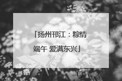 扬州邗江：粽情端午 爱满东兴