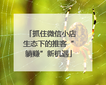 抓住微信小店生态下的推客“躺赚”新机遇