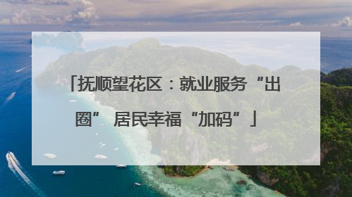 抚顺望花区：就业服务“出圈” 居民幸福“加码”