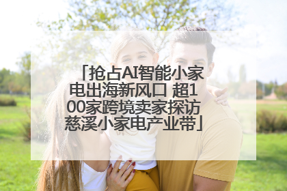 抢占AI智能小家电出海新风口 超100家跨境卖家探访慈溪小家电产业带